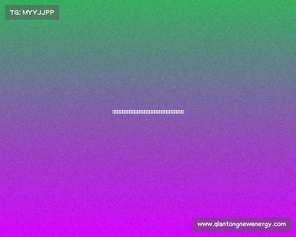 卓越赛事承办公司引领创新服务打造全方位体育赛事解决方案平台